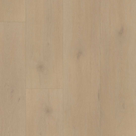 Belakos Palazzo 770 | Rigid Click