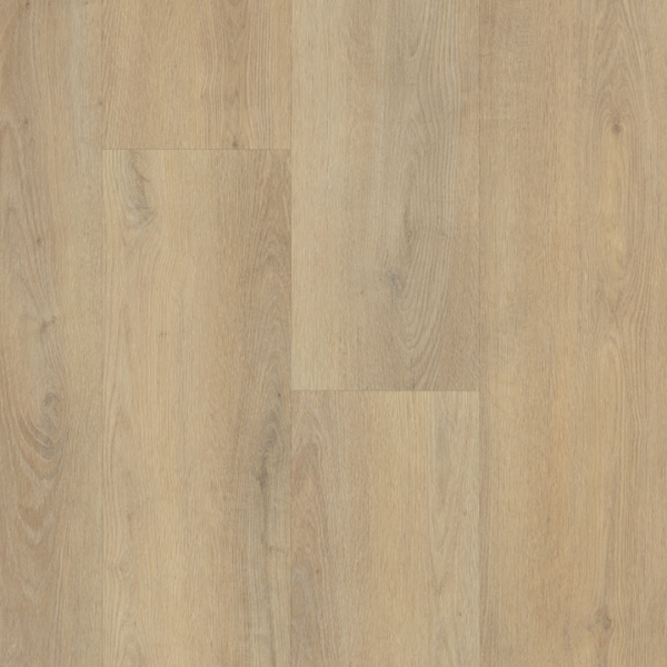 Belakos Palazzo 720 | Rigid Click