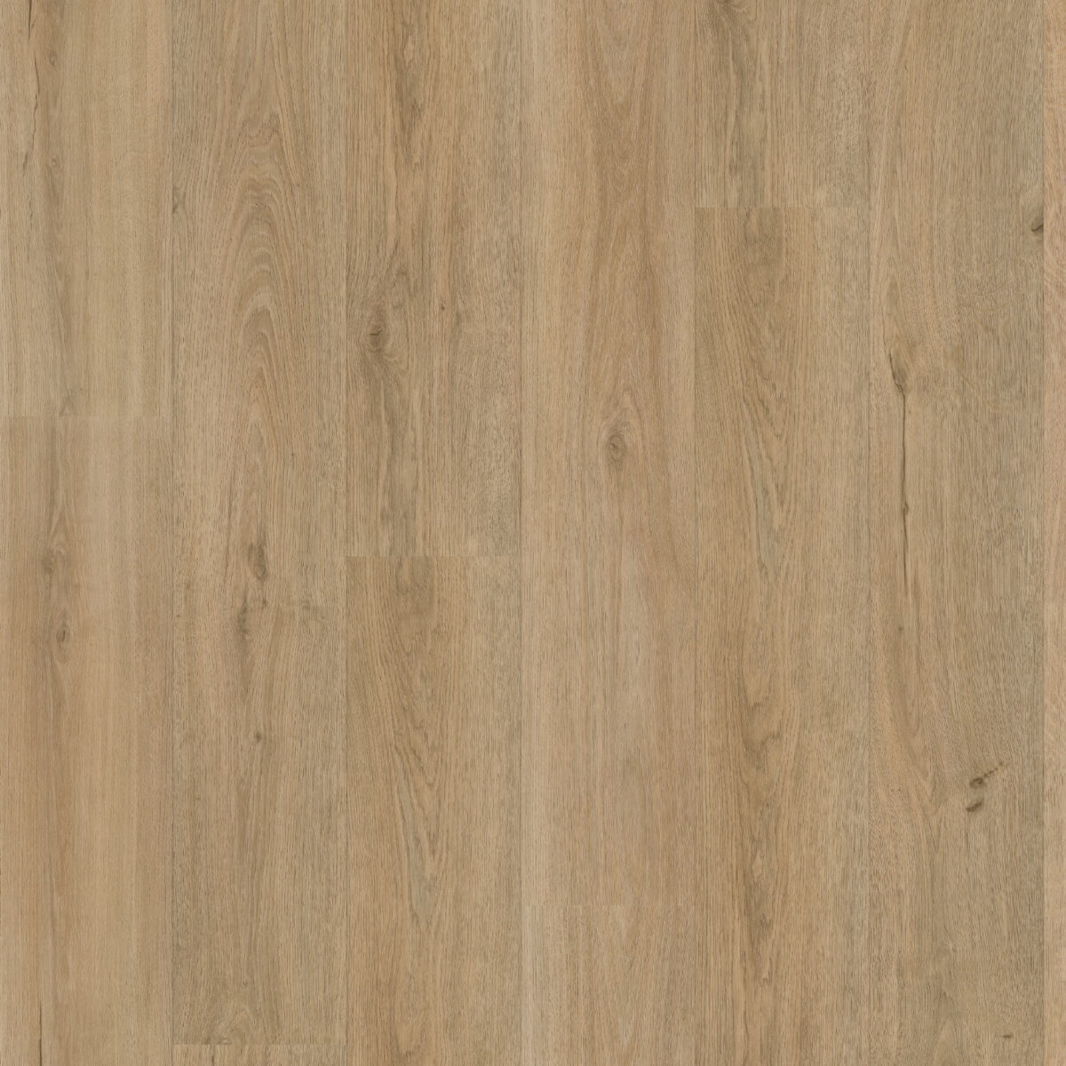vivafloors eiken 7240 top 1600x0 c default